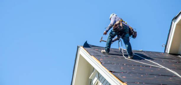 Best Storm Damage Roof Repair  in Prairie Grove, AR
